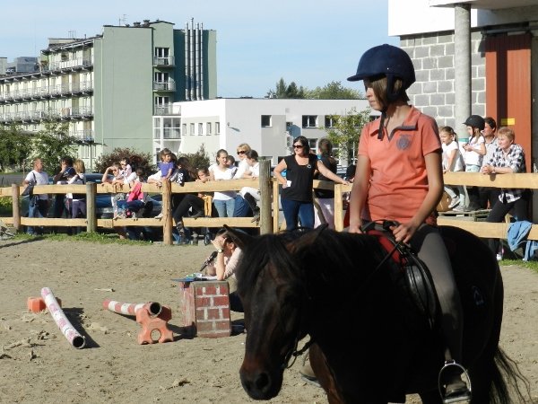 Babie Lato 2015